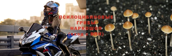 винт Кодинск