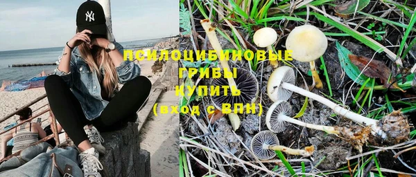 винт Кодинск