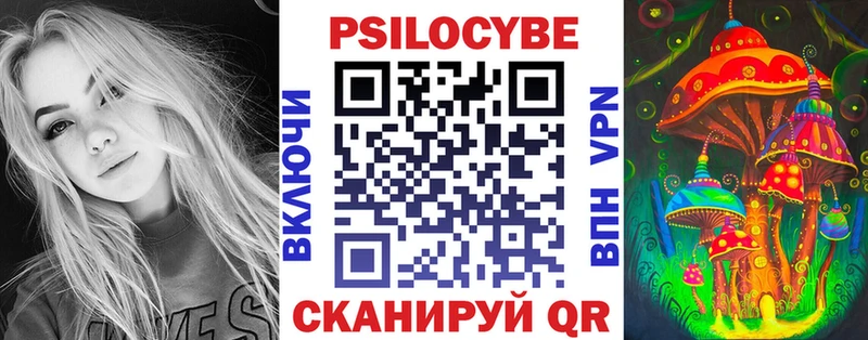 Купить закладки  Карабаш  Галлюциногенные грибы мухоморы 